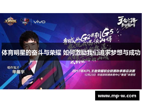 体育明星的奋斗与荣耀 如何激励我们追求梦想与成功