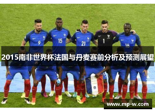 2015南非世界杯法国与丹麦赛前分析及预测展望